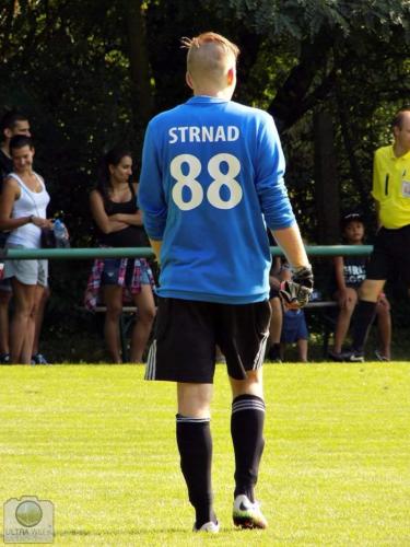 strnad